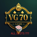 VG 70